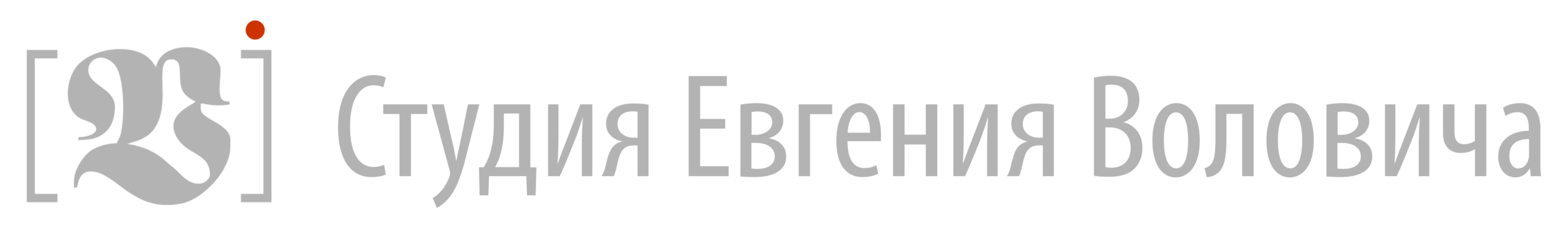 Студия Евгения Воловича